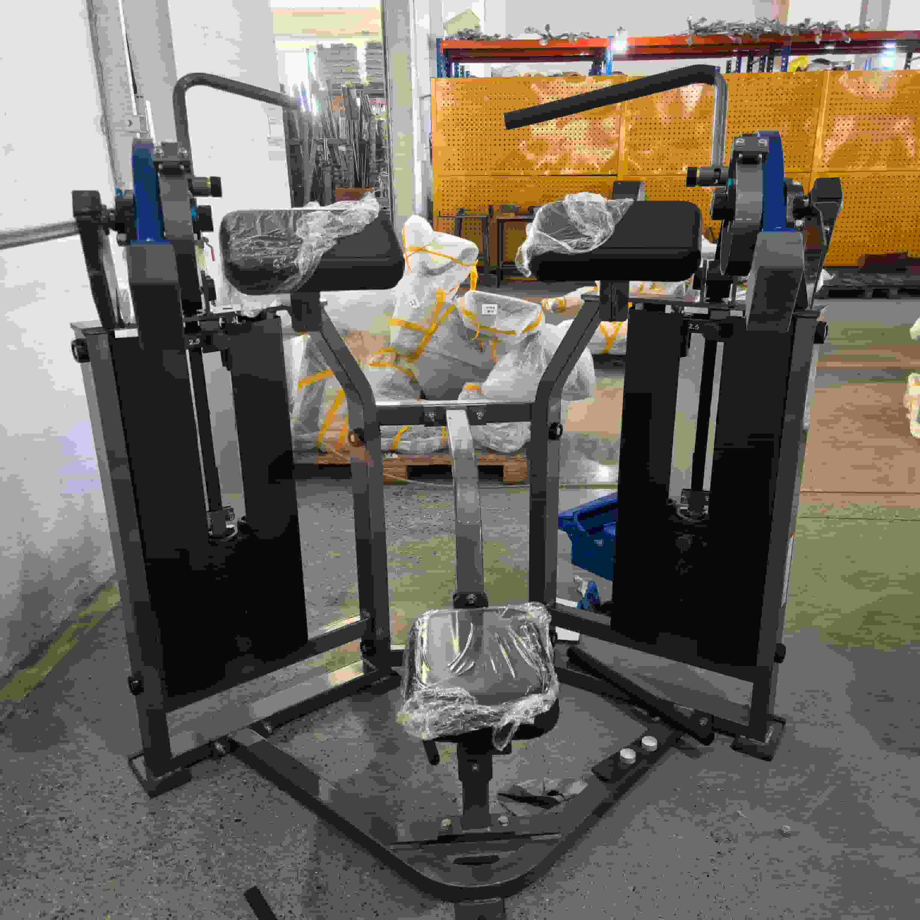 Gym Biceps Curl Machine